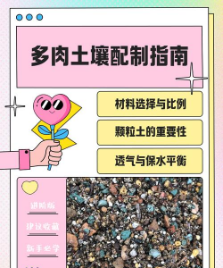 家里阳光不足怎么养花，选对植物种类，掌握养护技巧