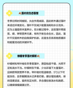 家里阳光不足怎么养花，选对植物种类，掌握养护技巧