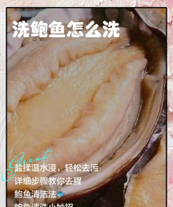 家里阳光不足怎么养花，选对植物种类，掌握养护技巧