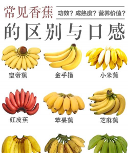 家里阳光不足怎么养花，选对植物种类，掌握养护技巧