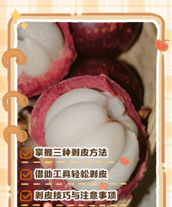 家里阳光不足怎么养花，选对植物种类，掌握养护技巧