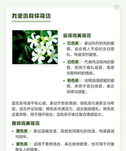 家里阳光不足怎么养花，选对植物种类，掌握养护技巧