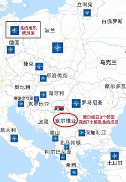 家里阳光不足怎么养花，选对植物种类，掌握养护技巧