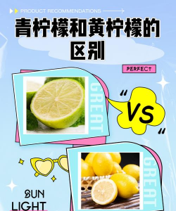 家里阳光不足怎么养花，选对植物种类，掌握养护技巧