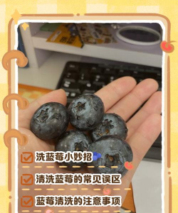 家里阳光不足怎么养花，选对植物种类，掌握养护技巧