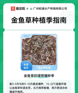 家里阳光不足怎么养花，选对植物种类，掌握养护技巧