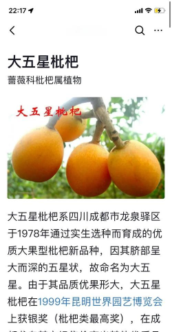 家里阳光不足怎么养花，选对植物种类，掌握养护技巧