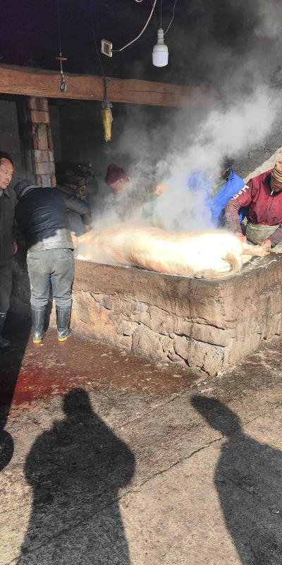 家里阳光不足怎么养花，选对植物种类，掌握养护技巧