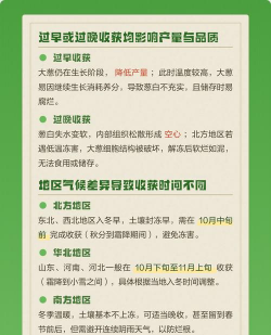 家里阳光不足怎么养花，选对植物种类，掌握养护技巧