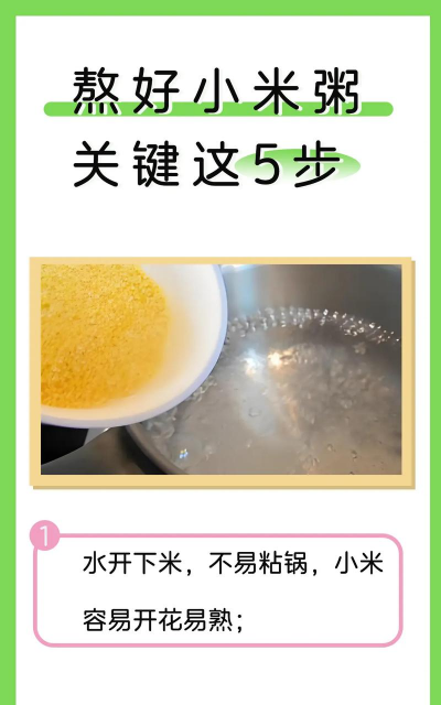 家里阳光不足怎么养花，选对植物种类，掌握养护技巧