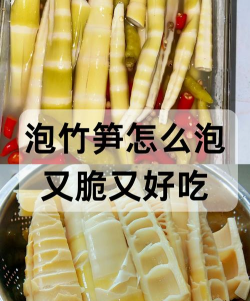 家里阳光不足怎么养花，选对植物种类，掌握养护技巧