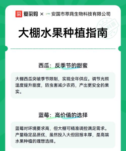家里阳光不足怎么养花，选对植物种类，掌握养护技巧