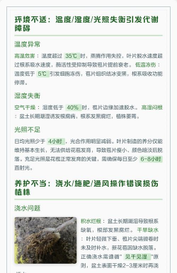 家里阳光不足怎么养花，选对植物种类，掌握养护技巧