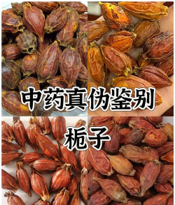 家里阳光不足怎么养花，选对植物种类，掌握养护技巧