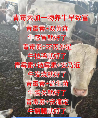 家里阳光不足怎么养花，选对植物种类，掌握养护技巧