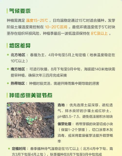 家里阳光不足怎么养花，选对植物种类，掌握养护技巧