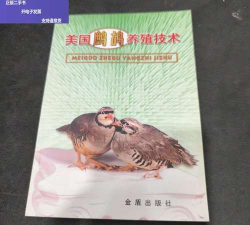 家里阳光不足怎么养花，选对植物种类，掌握养护技巧