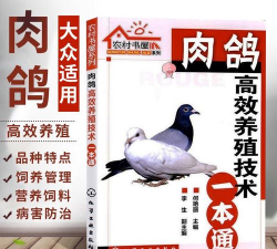 家里阳光不足怎么养花，选对植物种类，掌握养护技巧