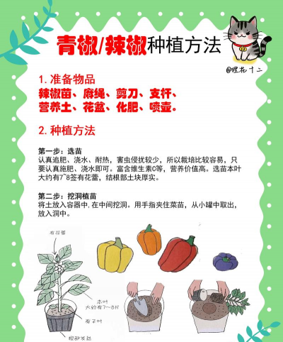青椒种植技术 青椒种植技术