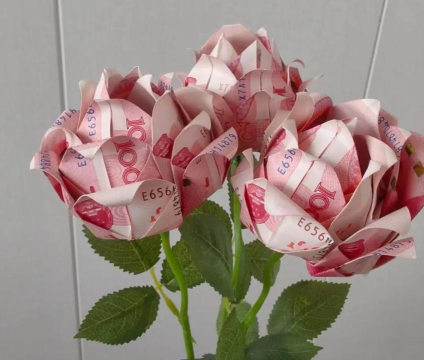 家里阳光不足怎么养花，选对植物种类，掌握养护技巧