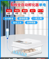家里阳光不足怎么养花，选对植物种类，掌握养护技巧