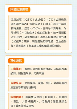 家里阳光不足怎么养花，选对植物种类，掌握养护技巧