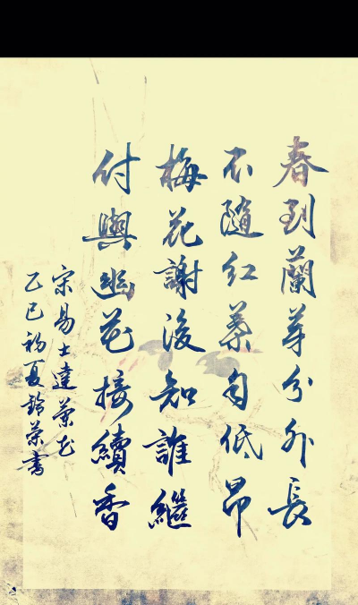 家里阳光不足怎么养花，选对植物种类，掌握养护技巧