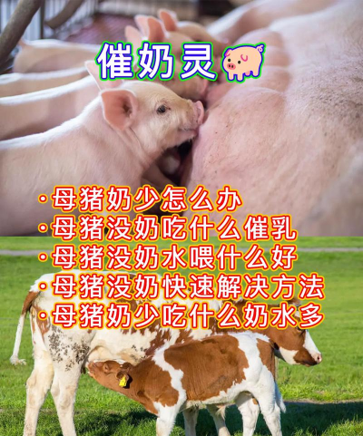 家里阳光不足怎么养花，选对植物种类，掌握养护技巧