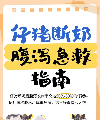 家里阳光不足怎么养花，选对植物种类，掌握养护技巧