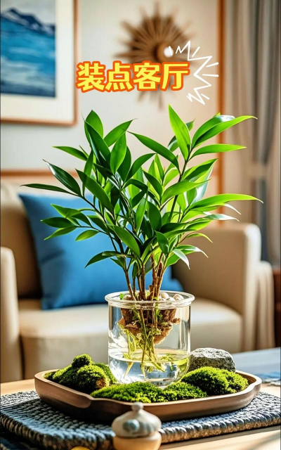 家里阳光不足怎么养花，选对植物种类，掌握养护技巧