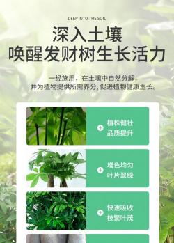 家里阳光不足怎么养花，选对植物种类，掌握养护技巧