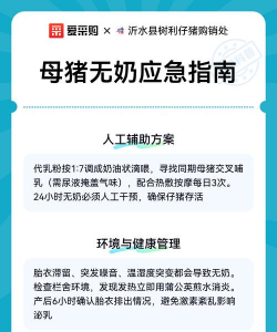 家里阳光不足怎么养花，选对植物种类，掌握养护技巧