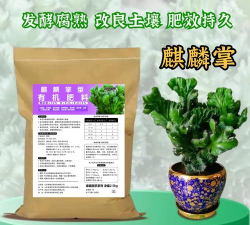 家里阳光不足怎么养花，选对植物种类，掌握养护技巧
