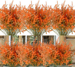 家里阳光不足怎么养花，选对植物种类，掌握养护技巧