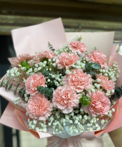 家里阳光不足怎么养花，选对植物种类，掌握养护技巧