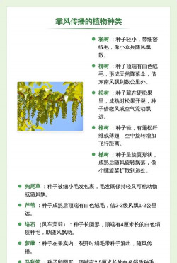 家里阳光不足怎么养花，选对植物种类，掌握养护技巧