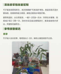 家里阳光不足怎么养花，选对植物种类，掌握养护技巧