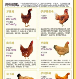 家里阳光不足怎么养花，选对植物种类，掌握养护技巧