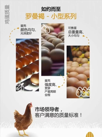 家里阳光不足怎么养花，选对植物种类，掌握养护技巧