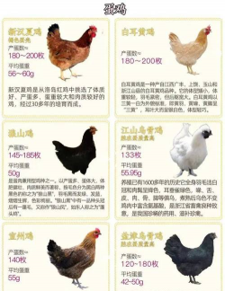 家里阳光不足怎么养花，选对植物种类，掌握养护技巧