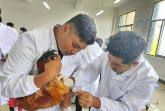 家里阳光不足怎么养花，选对植物种类，掌握养护技巧