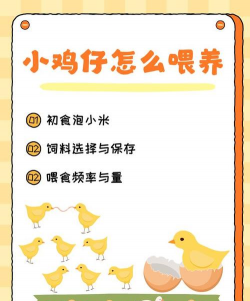 家里阳光不足怎么养花，选对植物种类，掌握养护技巧