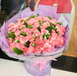 家里阳光不足怎么养花，选对植物种类，掌握养护技巧