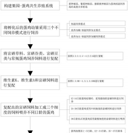 家里阳光不足怎么养花，选对植物种类，掌握养护技巧
