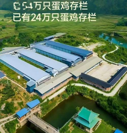 家里阳光不足怎么养花，选对植物种类，掌握养护技巧