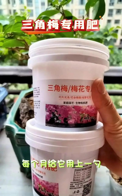 家里阳光不足怎么养花，选对植物种类，掌握养护技巧