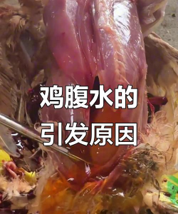 家里阳光不足怎么养花，选对植物种类，掌握养护技巧