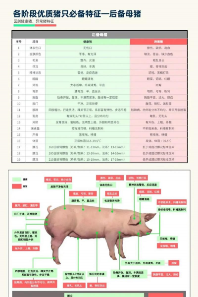 家里阳光不足怎么养花，选对植物种类，掌握养护技巧