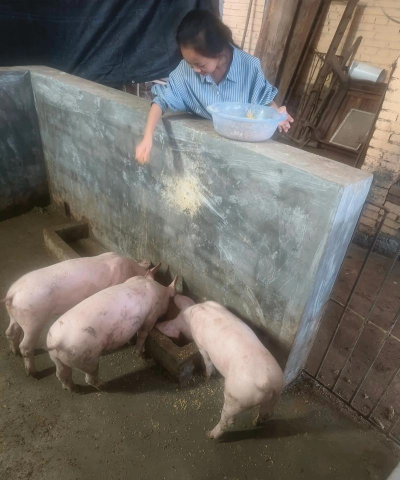 家里阳光不足怎么养花，选对植物种类，掌握养护技巧