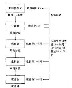 家里阳光不足怎么养花，选对植物种类，掌握养护技巧
